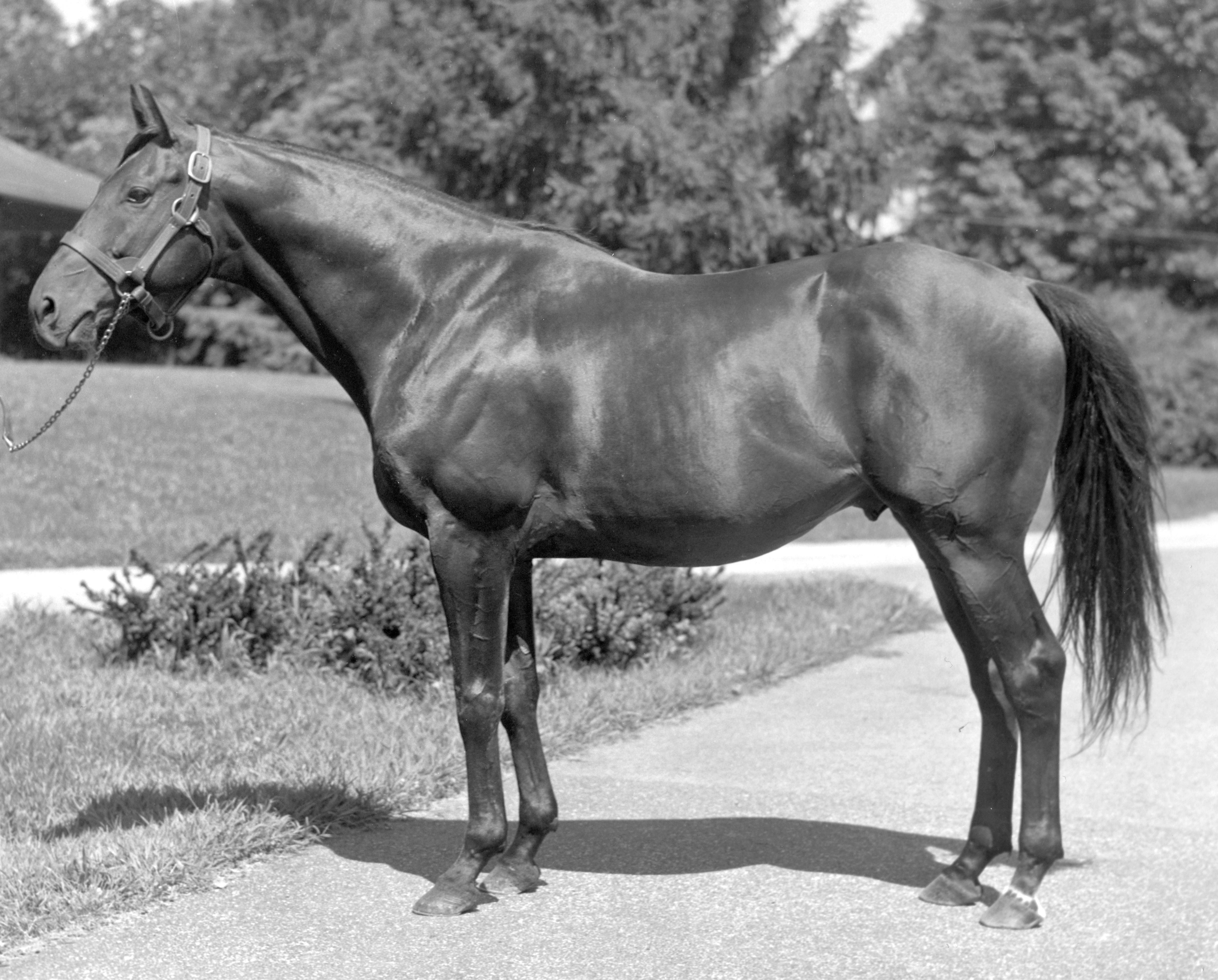 round-table-ky-national-museum-of-racing-and-hall-of-fame